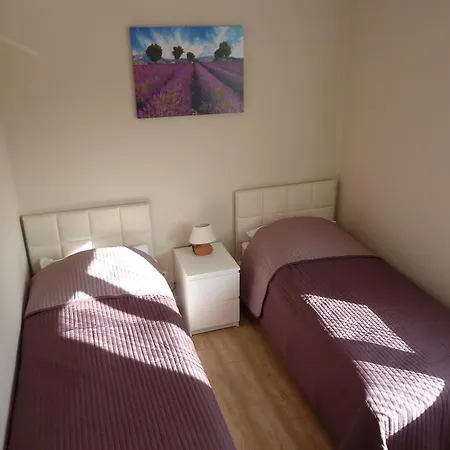 Zebra Apartament