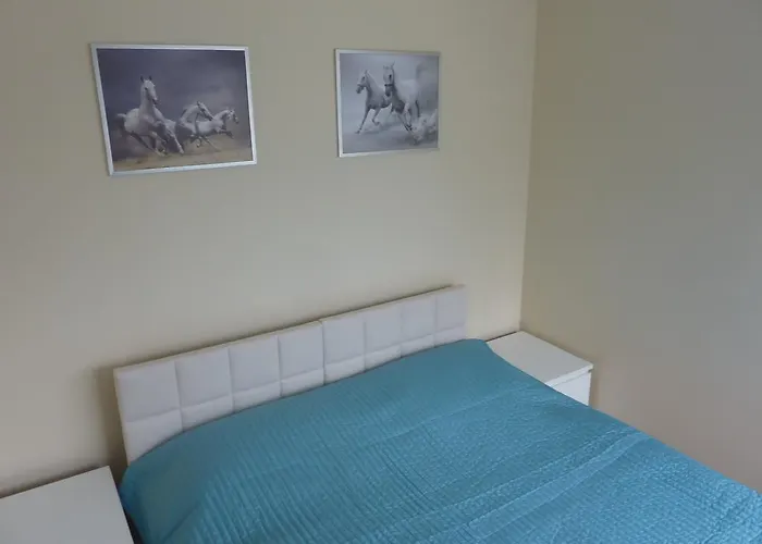 Zebra Świeradów-Zdrój